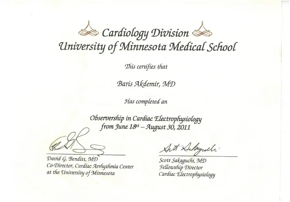 Observership in Cardiac Electrophysiology 